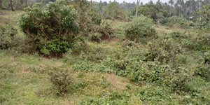 Lejits Properties for sale