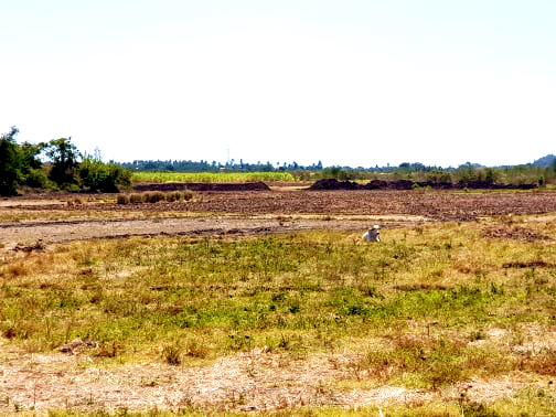 for sale sariaya