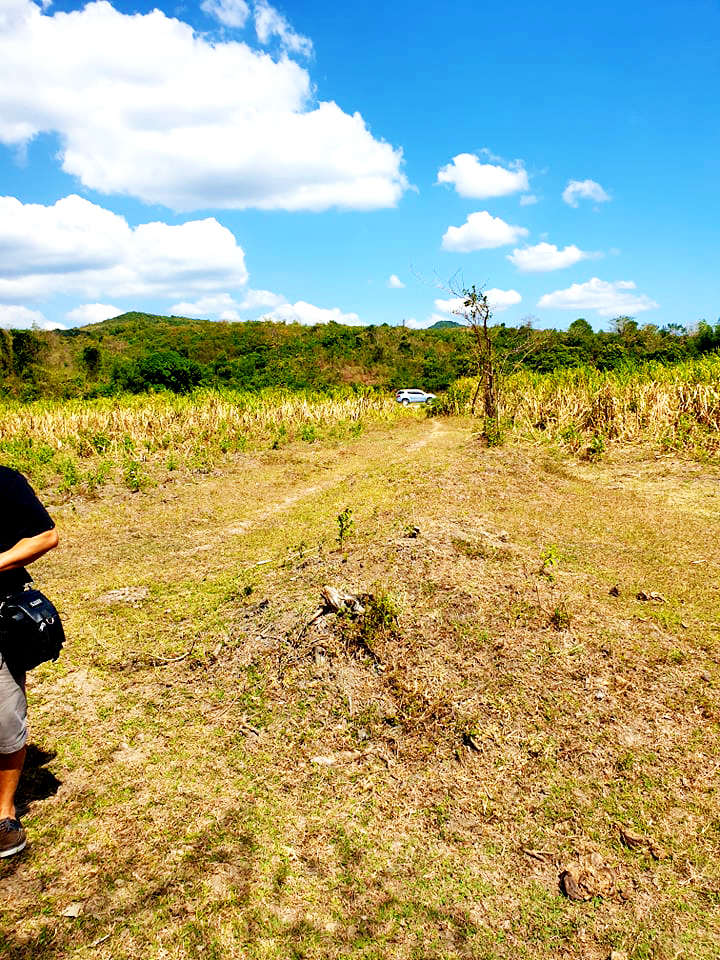 for sale sariaya