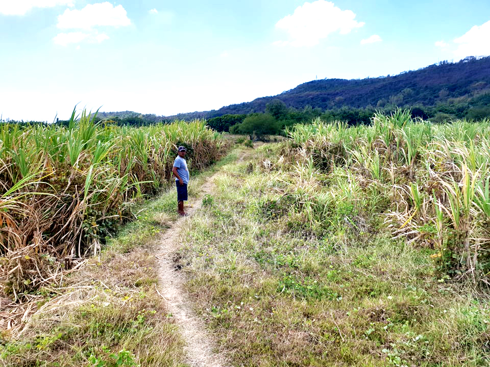 for sale sariaya